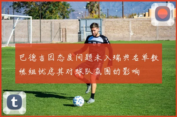 巴德吉因态度问题未入瑞典名单教练组忧虑其对球队氛围的影响