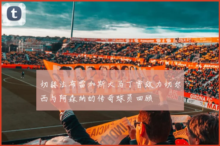 切赫法布雷加斯大马丁曾效力切尔西与阿森纳的传奇球员回顾